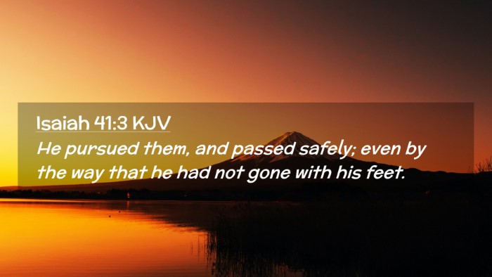 Picture 02 - Isaiah 41:3 KJV Desktop Wallpaper - He pursued them, and passed safely; even by the - Desktop Bible Verse Wallpaper