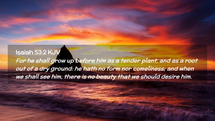 Picture 02 - Isaiah 53:2 KJV Desktop Wallpaper - For he shall grow up before him as a tender - Desktop Bible Verse Wallpaper