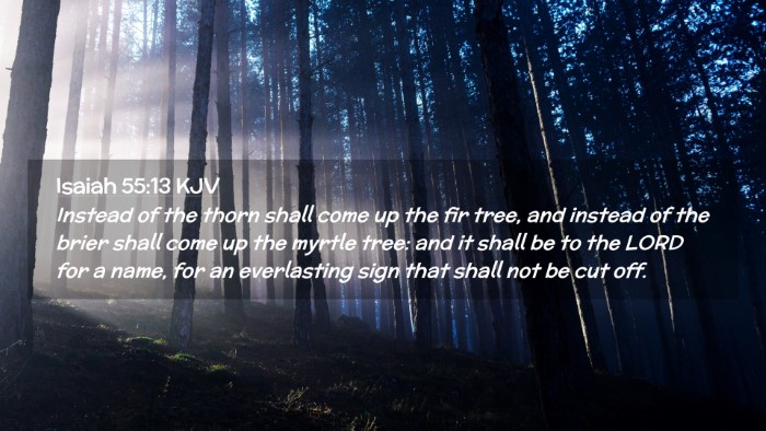 Picture 02 - Isaiah 55:13 KJV Desktop Wallpaper - Instead of the thorn shall come up the fir tree, - Desktop Bible Verse Wallpaper