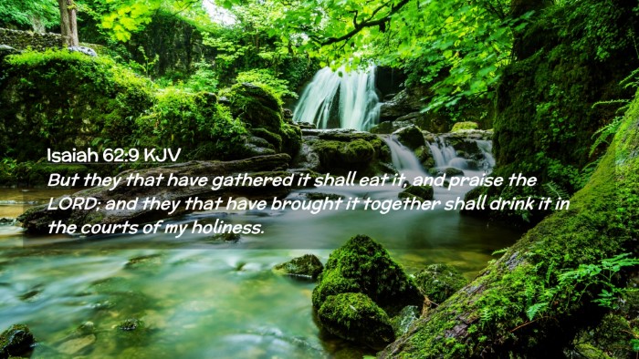 Picture 02 - Isaiah 62:9 KJV Desktop Wallpaper - But they that have gathered it shall eat it, and - Desktop Bible Verse Wallpaper