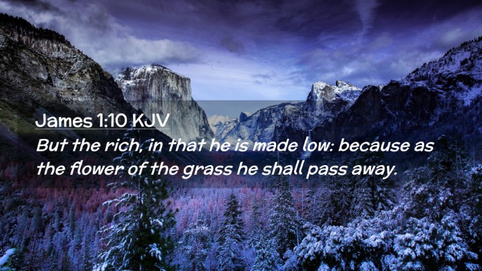 Picture 02 - James 1:10 KJV Desktop Wallpaper - But the rich, in that he is made low: because as - Desktop Bible Verse Wallpaper