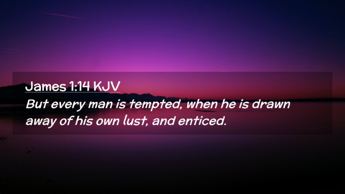 Picture 02 - James 1:14 KJV Desktop Wallpaper - But every man is tempted, when he is drawn away - Desktop Bible Verse Wallpaper