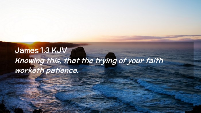 Picture 02 - James 1:3 KJV Desktop Wallpaper - Knowing this, that the trying of your faith - Desktop Bible Verse Wallpaper