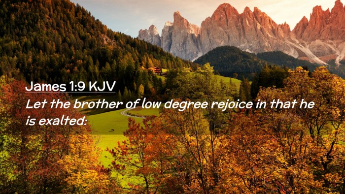 Picture 02 - James 1:9 KJV Desktop Wallpaper - Let the brother of low degree rejoice in that he - Desktop Bible Verse Wallpaper
