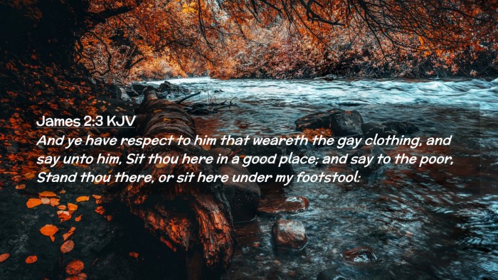 Picture 02 - James 2:3 KJV Desktop Wallpaper - And ye have respect to him that weareth the gay - Desktop Bible Verse Wallpaper