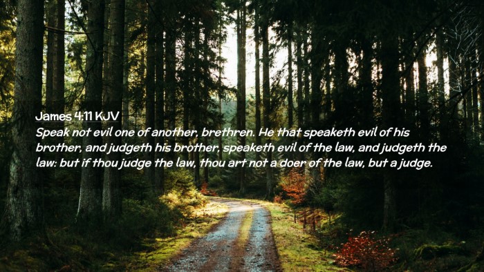 Picture 02 - James 4:11 KJV Desktop Wallpaper - Speak not evil one of another, brethren. He that - Desktop Bible Verse Wallpaper