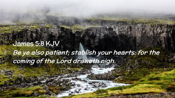 Picture 02 - James 5:8 KJV Desktop Wallpaper - Be ye also patient; stablish your hearts: for the - Desktop Bible Verse Wallpaper