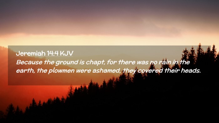 Picture 02 - Jeremiah 14:4 KJV Desktop Wallpaper - Because the ground is chapt, for there was no - Desktop Bible Verse Wallpaper