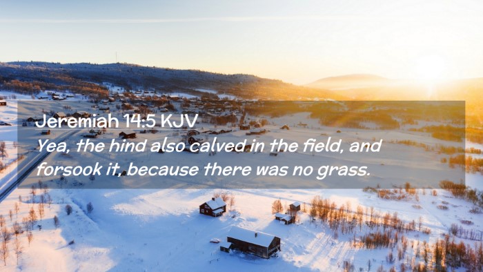Picture 02 - Jeremiah 14:5 KJV Desktop Wallpaper - Yea, the hind also calved in the field, and - Desktop Bible Verse Wallpaper