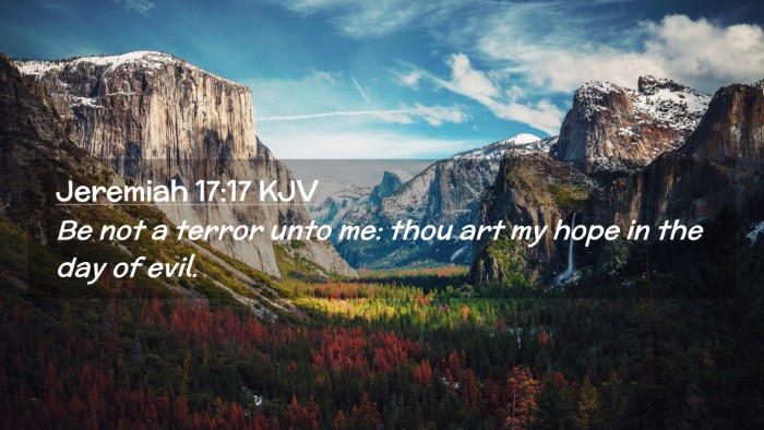 Picture 02 - Jeremiah 17:17 KJV Desktop Wallpaper - Be not a terror unto me: thou art my hope in the - Desktop Bible Verse Wallpaper