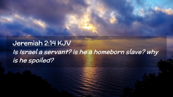 Picture 02 - Jeremiah 2:14 KJV Desktop Wallpaper - Is Israel a servant? is he a homeborn slave? why - Desktop Bible Verse Wallpaper