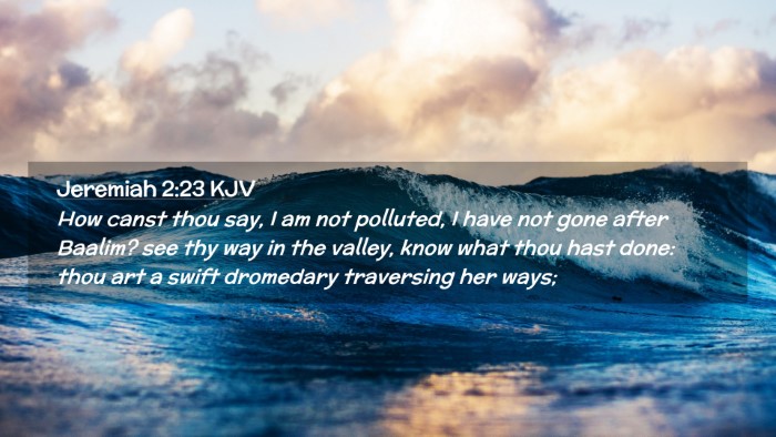 Picture 02 - Jeremiah 2:23 KJV Desktop Wallpaper - How canst thou say, I am not polluted, I have not - Desktop Bible Verse Wallpaper
