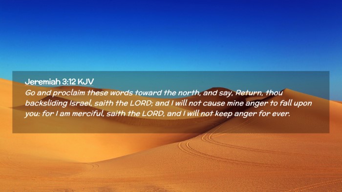 Picture 02 - Jeremiah 3:12 KJV Desktop Wallpaper - Go and proclaim these words toward the north, and - Desktop Bible Verse Wallpaper
