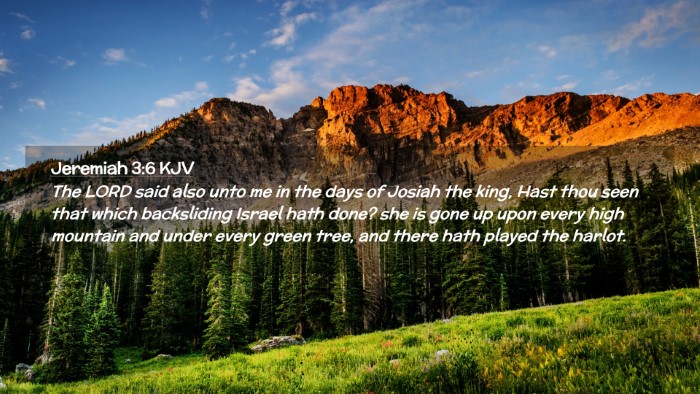 Picture 02 - Jeremiah 3:6 KJV Desktop Wallpaper - The LORD said also unto me in the days of Josiah - Desktop Bible Verse Wallpaper