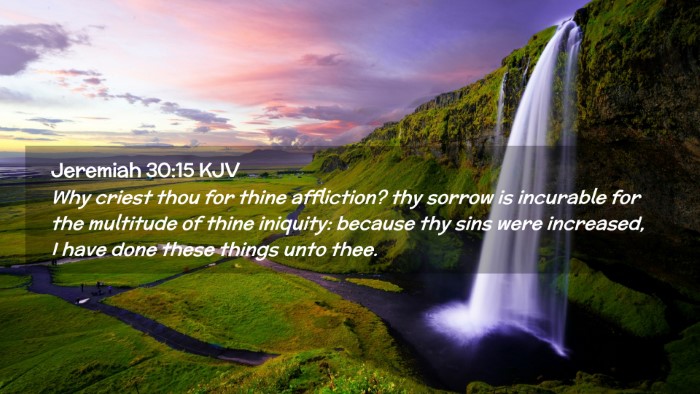 Picture 02 - Jeremiah 30:15 KJV Desktop Wallpaper - Why criest thou for thine affliction? thy sorrow - Desktop Bible Verse Wallpaper