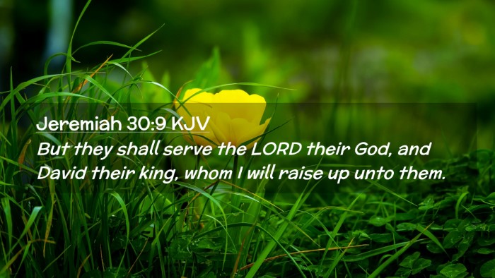 Picture 02 - Jeremiah 30:9 KJV Desktop Wallpaper - But they shall serve the LORD their God, and - Desktop Bible Verse Wallpaper