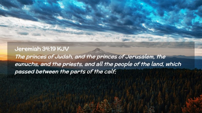 Picture 02 - Jeremiah 34:19 KJV Desktop Wallpaper - The princes of Judah, and the princes of - Desktop Bible Verse Wallpaper