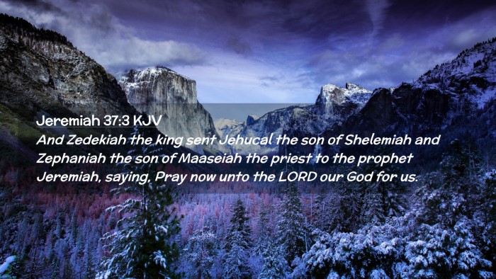 Picture 02 - Jeremiah 37:3 KJV Desktop Wallpaper - And Zedekiah the king sent Jehucal the son of - Desktop Bible Verse Wallpaper