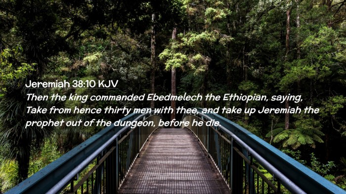 Picture 02 - Jeremiah 38:10 KJV Desktop Wallpaper - Then the king commanded Ebedmelech the Ethiopian, - Desktop Bible Verse Wallpaper