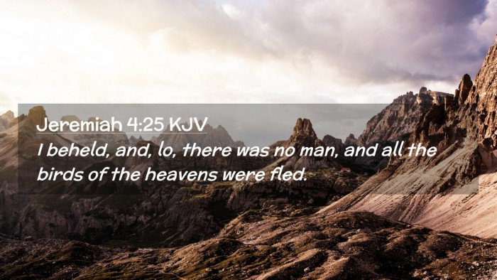 Picture 02 - Jeremiah 4:25 KJV Desktop Wallpaper - I beheld, and, lo, there was no man, and all the - Desktop Bible Verse Wallpaper