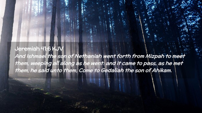 Picture 02 - Jeremiah 41:6 KJV Desktop Wallpaper - And Ishmael the son of Nethaniah went forth from - Desktop Bible Verse Wallpaper