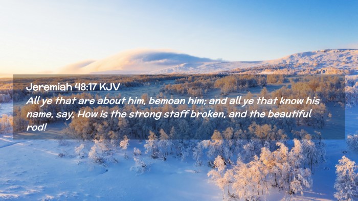 Picture 02 - Jeremiah 48:17 KJV Desktop Wallpaper - All ye that are about him, bemoan him; and all ye - Desktop Bible Verse Wallpaper