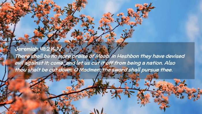 Picture 02 - Jeremiah 48:2 KJV Desktop Wallpaper - There shall be no more praise of Moab: in Heshbon - Desktop Bible Verse Wallpaper