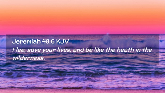 Picture 02 - Jeremiah 48:6 KJV Desktop Wallpaper - Flee, save your lives, and be like the heath in - Desktop Bible Verse Wallpaper