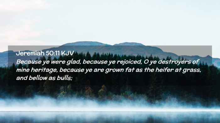 Picture 02 - Jeremiah 50:11 KJV Desktop Wallpaper - Because ye were glad, because ye rejoiced, O ye - Desktop Bible Verse Wallpaper