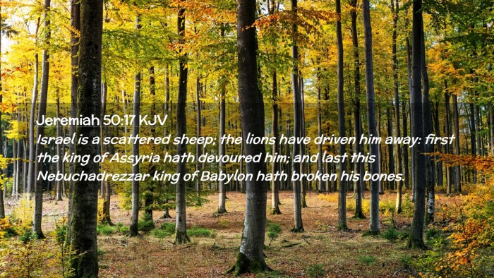 Picture 02 - Jeremiah 50:17 KJV Desktop Wallpaper - Israel is a scattered sheep; the lions have - Desktop Bible Verse Wallpaper