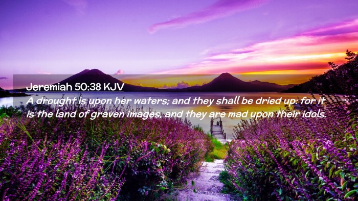 Picture 02 - Jeremiah 50:38 KJV Desktop Wallpaper - A drought is upon her waters; and they shall be - Desktop Bible Verse Wallpaper