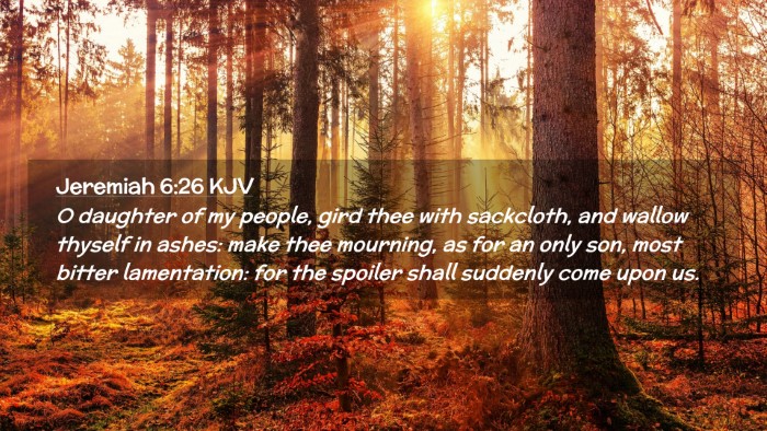 Picture 02 - Jeremiah 6:26 KJV Desktop Wallpaper - O daughter of my people, gird thee with - Desktop Bible Verse Wallpaper