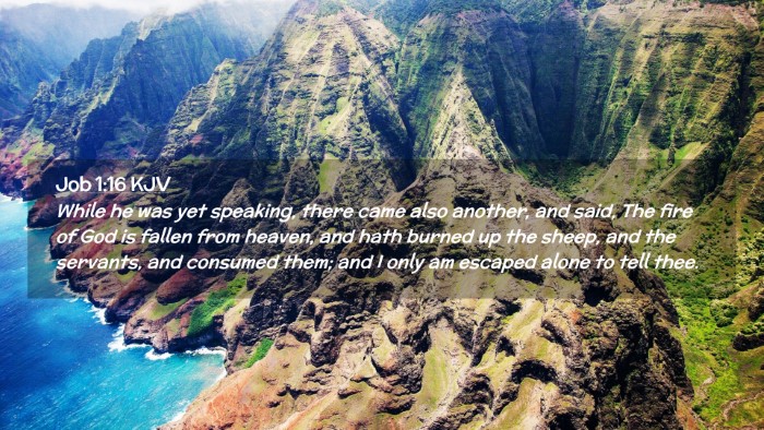 Picture 02 - Job 1:16 KJV Desktop Wallpaper - While he was yet speaking, there came also - Desktop Bible Verse Wallpaper