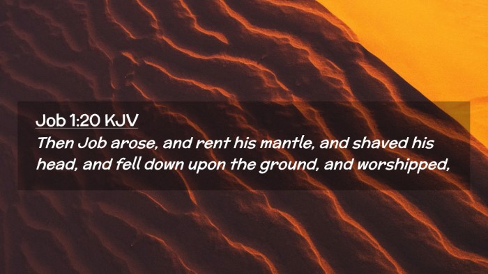 Picture 02 - Job 1:20 KJV Desktop Wallpaper - Then Job arose, and rent his mantle, and shaved - Desktop Bible Verse Wallpaper