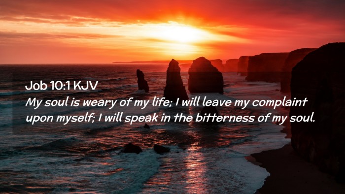 Picture 02 - Job 10:1 KJV Desktop Wallpaper - My soul is weary of my life; I will leave my - Desktop Bible Verse Wallpaper