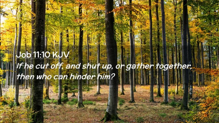 Picture 02 - Job 11:10 KJV Desktop Wallpaper - If he cut off, and shut up, or gather together, - Desktop Bible Verse Wallpaper