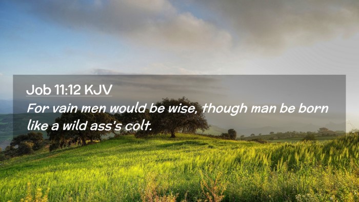 Picture 02 - Job 11:12 KJV Desktop Wallpaper - For vain men would be wise, though man be born - Desktop Bible Verse Wallpaper