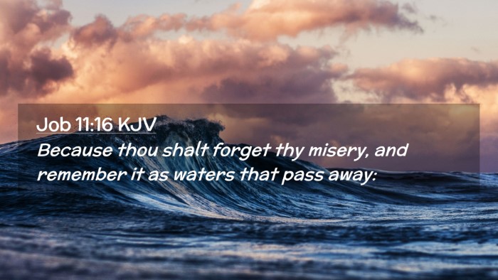 Picture 02 - Job 11:16 KJV Desktop Wallpaper - Because thou shalt forget thy misery, and - Desktop Bible Verse Wallpaper