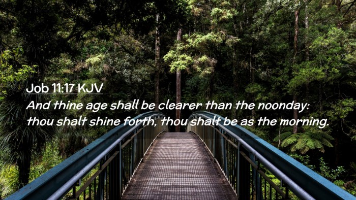 Picture 02 - Job 11:17 KJV Desktop Wallpaper - And thine age shall be clearer than the noonday: - Desktop Bible Verse Wallpaper