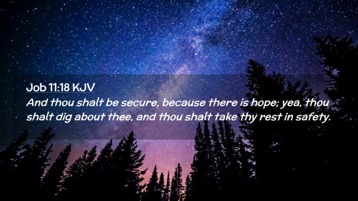 Picture 02 - Job 11:18 KJV Desktop Wallpaper - And thou shalt be secure, because there is hope; - Desktop Bible Verse Wallpaper