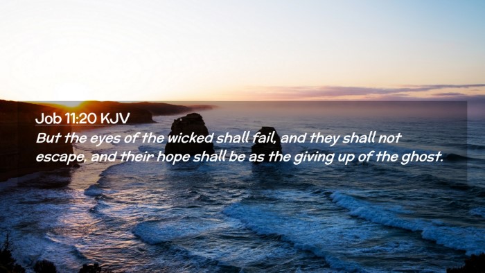 Picture 02 - Job 11:20 KJV Desktop Wallpaper - But the eyes of the wicked shall fail, and they - Desktop Bible Verse Wallpaper