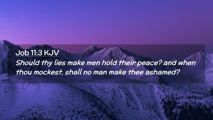 Picture 02 - Job 11:3 KJV Desktop Wallpaper - Should thy lies make men hold their peace? and - Desktop Bible Verse Wallpaper