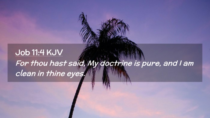 Picture 02 - Job 11:4 KJV Desktop Wallpaper - For thou hast said, My doctrine is pure, and I am - Desktop Bible Verse Wallpaper