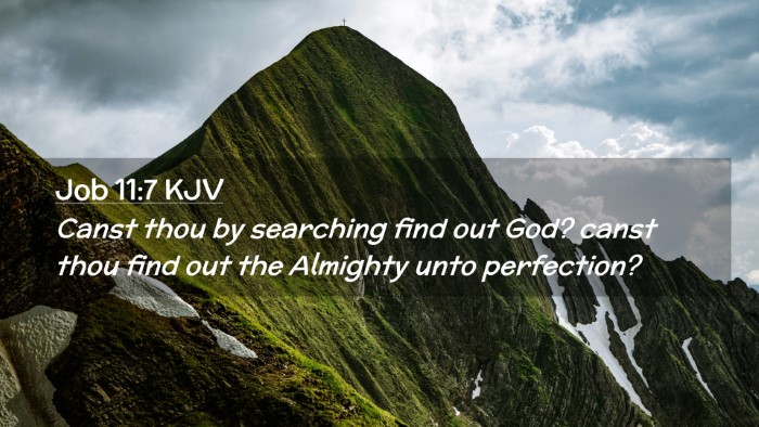 Picture 02 - Job 11:7 KJV Desktop Wallpaper - Canst thou by searching find out God? canst thou - Desktop Bible Verse Wallpaper