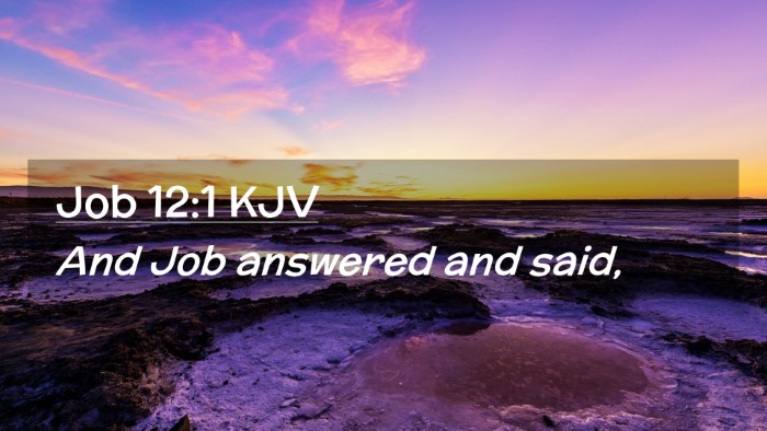 Picture 02 - Job 12:1 KJV Desktop Wallpaper - And Job answered and - Desktop Bible Verse Wallpaper