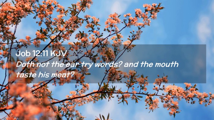 Picture 02 - Job 12:11 KJV Desktop Wallpaper - Doth not the ear try words? and the mouth taste - Desktop Bible Verse Wallpaper