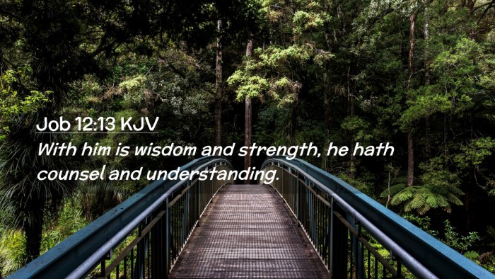 Picture 02 - Job 12:13 KJV Desktop Wallpaper - With him is wisdom and strength, he hath counsel - Desktop Bible Verse Wallpaper