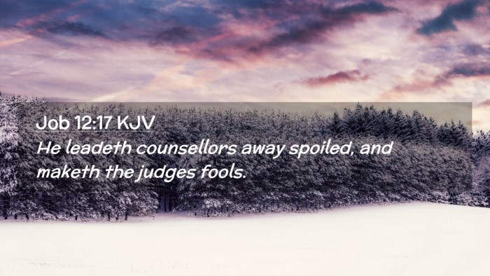 Picture 02 - Job 12:17 KJV Desktop Wallpaper - He leadeth counsellors away spoiled, and maketh - Desktop Bible Verse Wallpaper