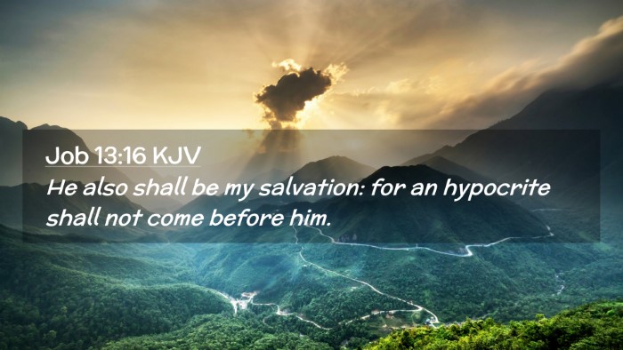 Picture 02 - Job 13:16 KJV Desktop Wallpaper - He also shall be my salvation: for an hypocrite - Desktop Bible Verse Wallpaper