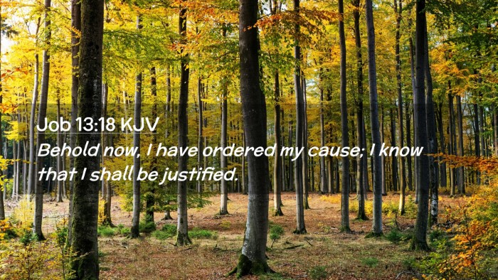 Picture 02 - Job 13:18 KJV Desktop Wallpaper - Behold now, I have ordered my cause; I know that - Desktop Bible Verse Wallpaper